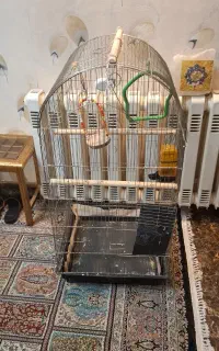 قفس پرنده