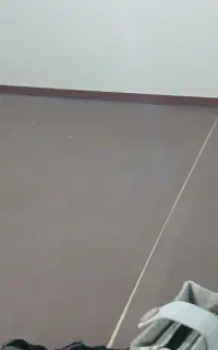 موکت ساده