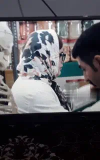 تلویزیونتل