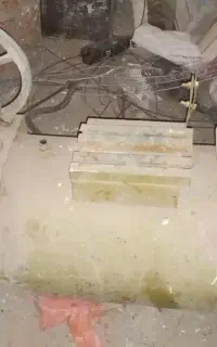 کمپرسورباد