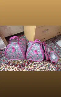 دستگیره ودمکنی