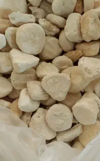کشک درجه یک گاوی
