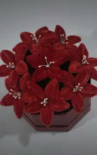 باکس گل