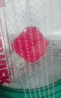 دوقل طبل