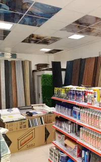 ادیتور خانم مسلط به فیلم برداری و فعالیت مجازی