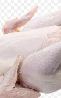 مرغ فروشی
