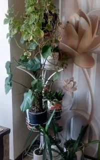 استند گل با گل وگلدان
