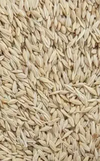 جو تمیز موجود