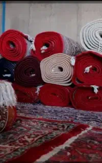 کارخانه قالیشویی پردیس