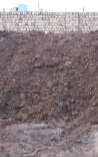 کودگاوی