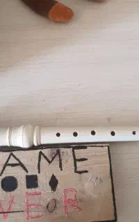 فلوت