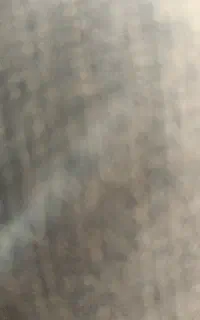 سیمکارت همراه اول رند