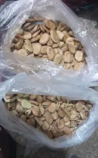 باقلا