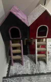 خانه و اسکرچر گربه ۲ عدد