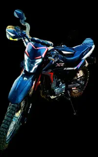 تریل xr250 FALAT