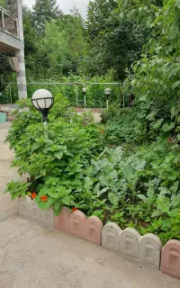 ویلا اجاره‌ای شبانه