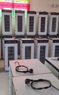 دستگاه جوجه کشی/کانالیزه شده برای هوای یکنواخت