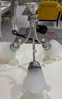 لوستر یک‌ عددی