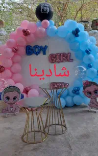فروشنده تم تولد شادینا