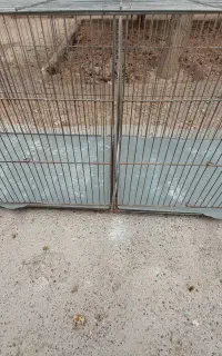 قفس جوجه پرون