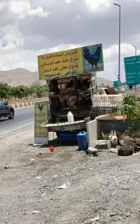 خروس سیاه دفع بلا مرغ سفید جهت قربونی