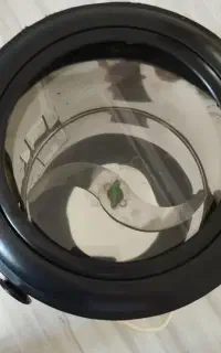 سبزی خورد کن کنوود