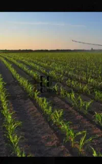 کشاورزی آبیاری بانوار تیب