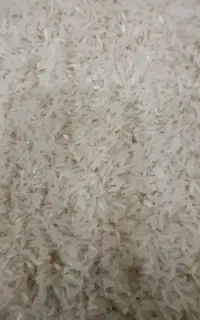 برنج هاشمی درجه یک سورت شده