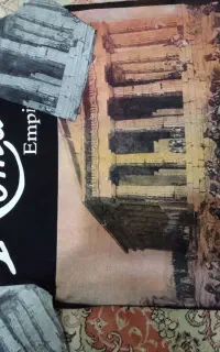 تیشرت لش
