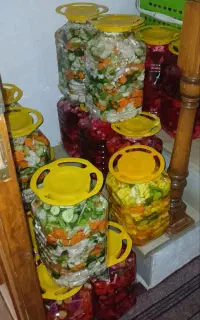 ترشی گل کلم خانگی خوش مزه قیمت مناسب