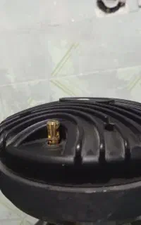 باعرض سلام دوعددتیوترغولپیک باندبیتاتری زیگمافابر