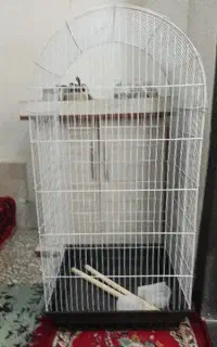 قفس پرنده