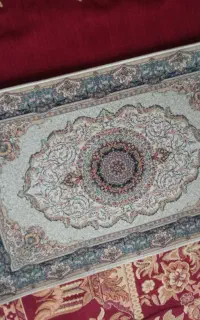 جلودری نونو