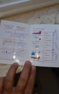 توله ژرمن فروشی