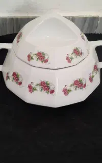 سوپ خوری گل قرمزی