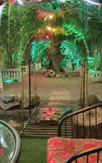 باغ زیبای  سرخپوست دریزد هرشب