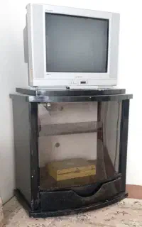 تلویزیون