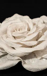 اموزش گل های کوتور