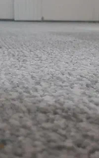 موکت پالاز به متراژ ۵۰ متر