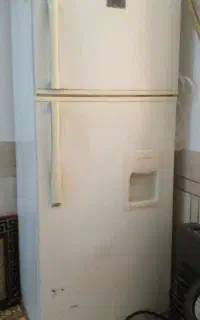 شادگان