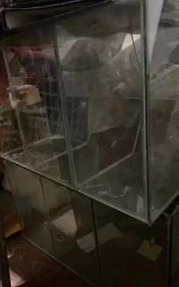 قفسه شیشه ای