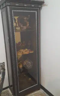 بوفه کاملا سالم