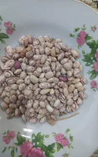 لوبیا چیتی ،سفید