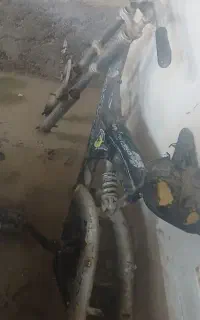 تنه دوچرخه ۲۴