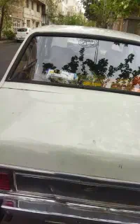 خودروپیکان