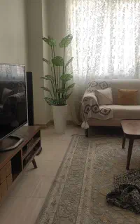 درخچه مصنوعی