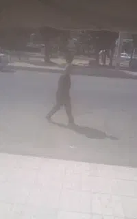 نظافت راه پله ومشاعات