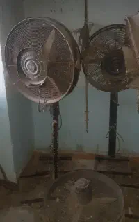 پنکه ایستاده