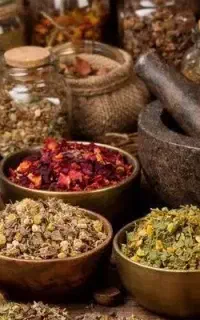 جذب نیروی. خانم. جویای کار درخانه
