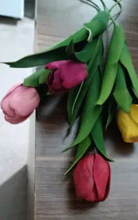گل لاله فوم